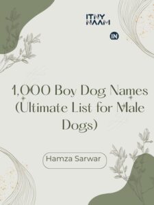 Boy Dog Names