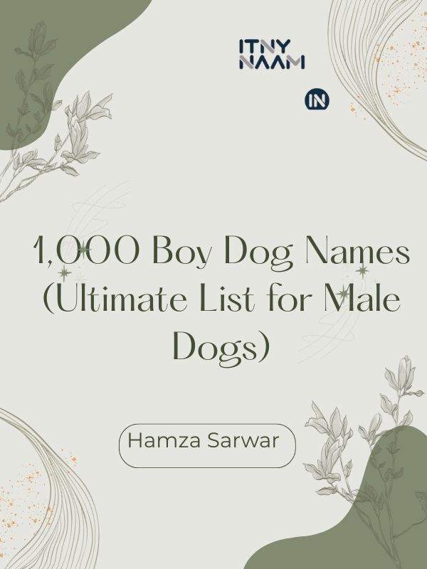 Boy Dog Names